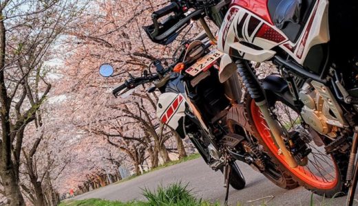バイクと花と春の写真
