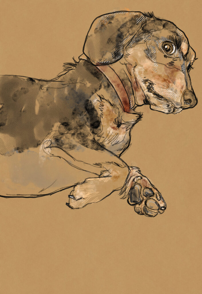 麦茶の絵 | tsugataku屋.com