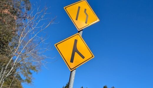 CRF250L 近所のハト