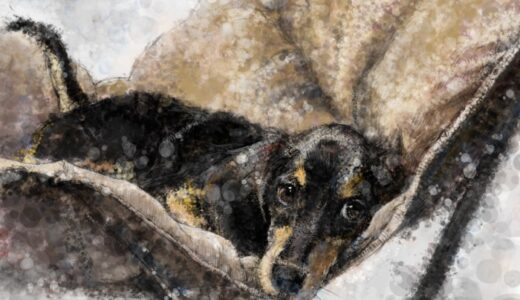 表現活動について思うこと