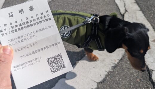 衆議院選挙から思うこと