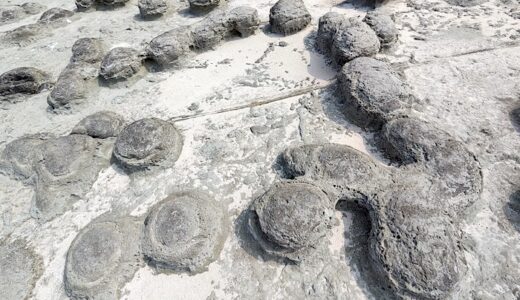 KTM 390 Adventure R 温泉と春